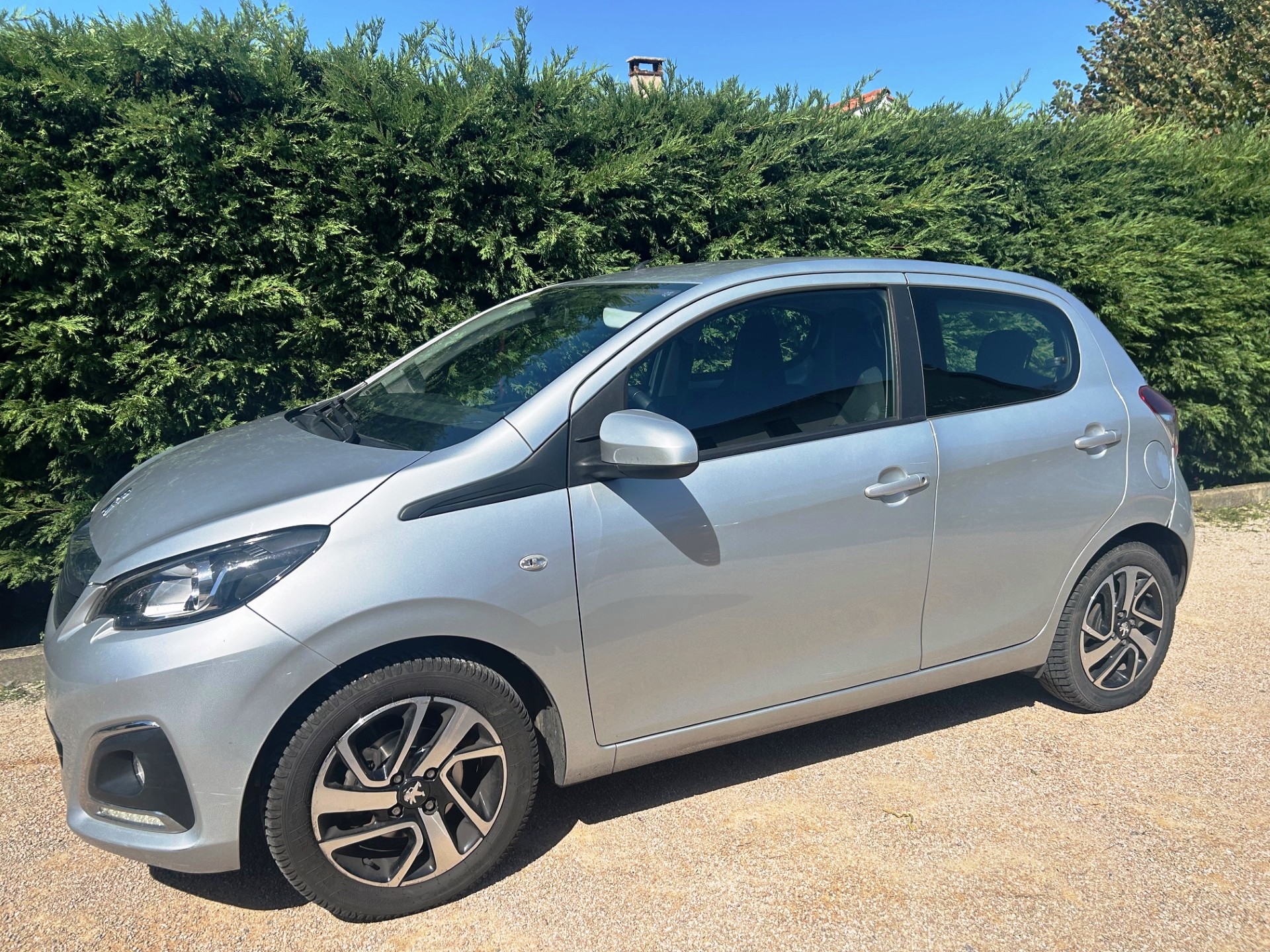 A WEBP gallery image