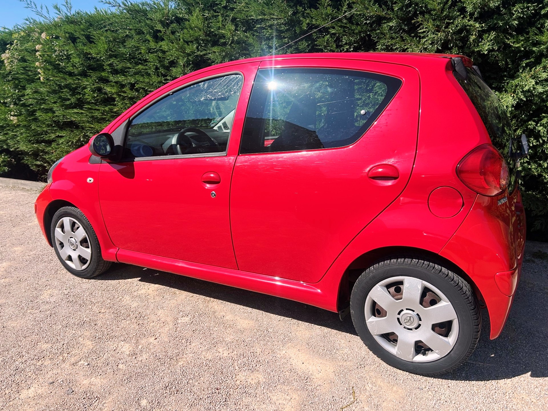 A WEBP gallery image