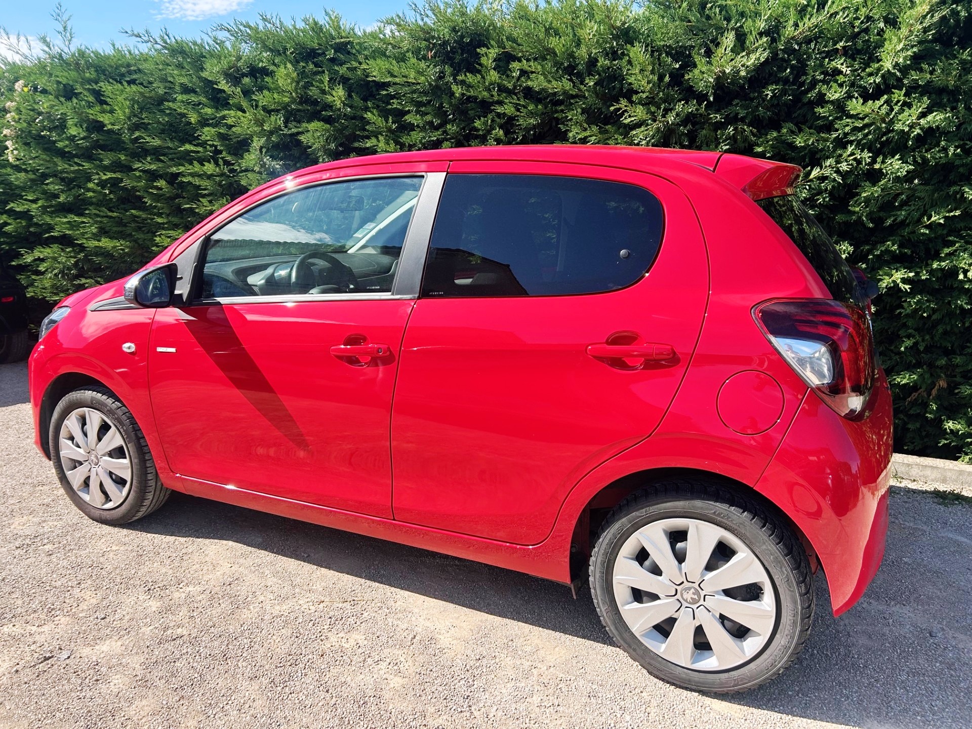 A WEBP gallery image