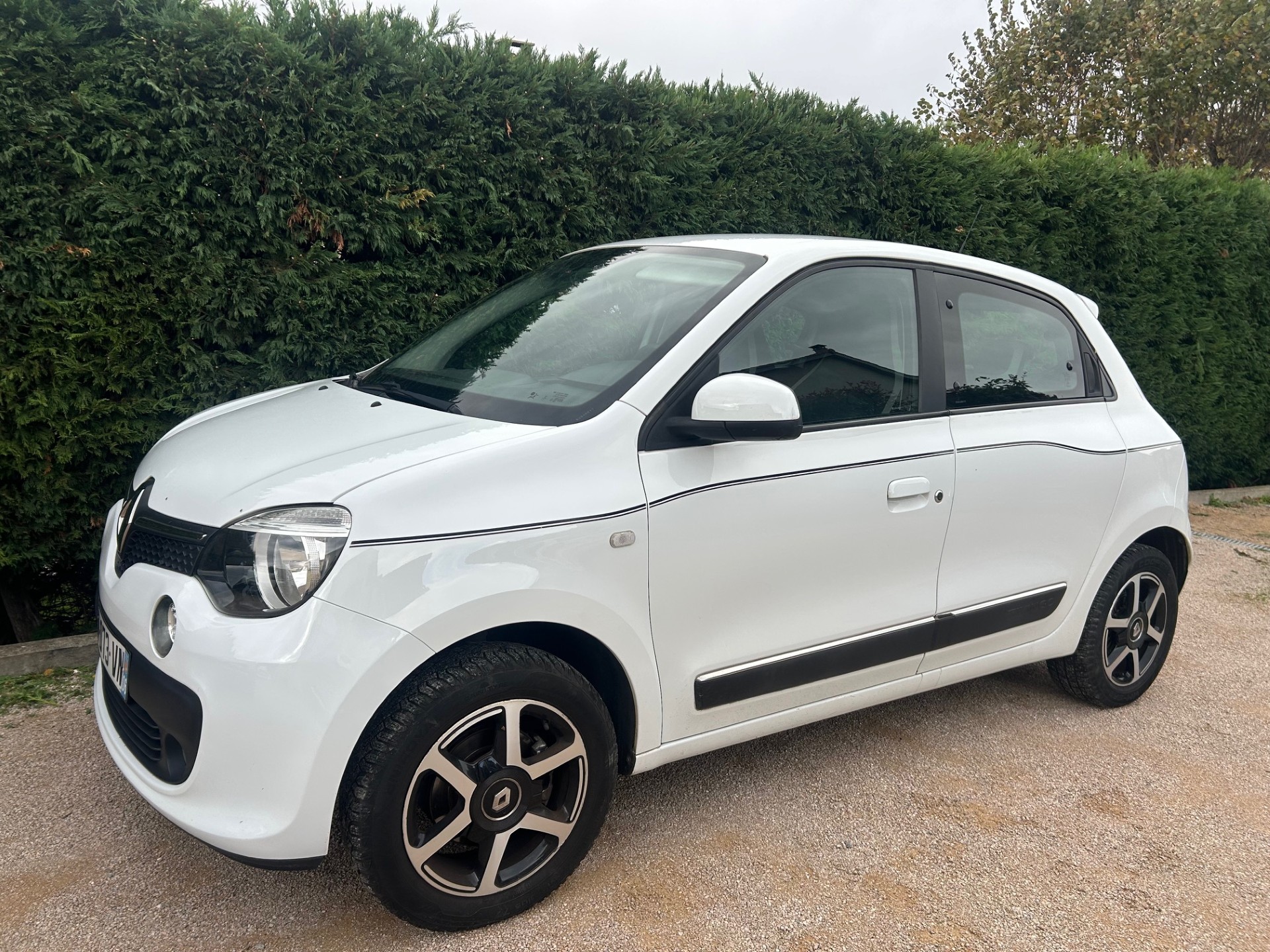 A WEBP gallery image