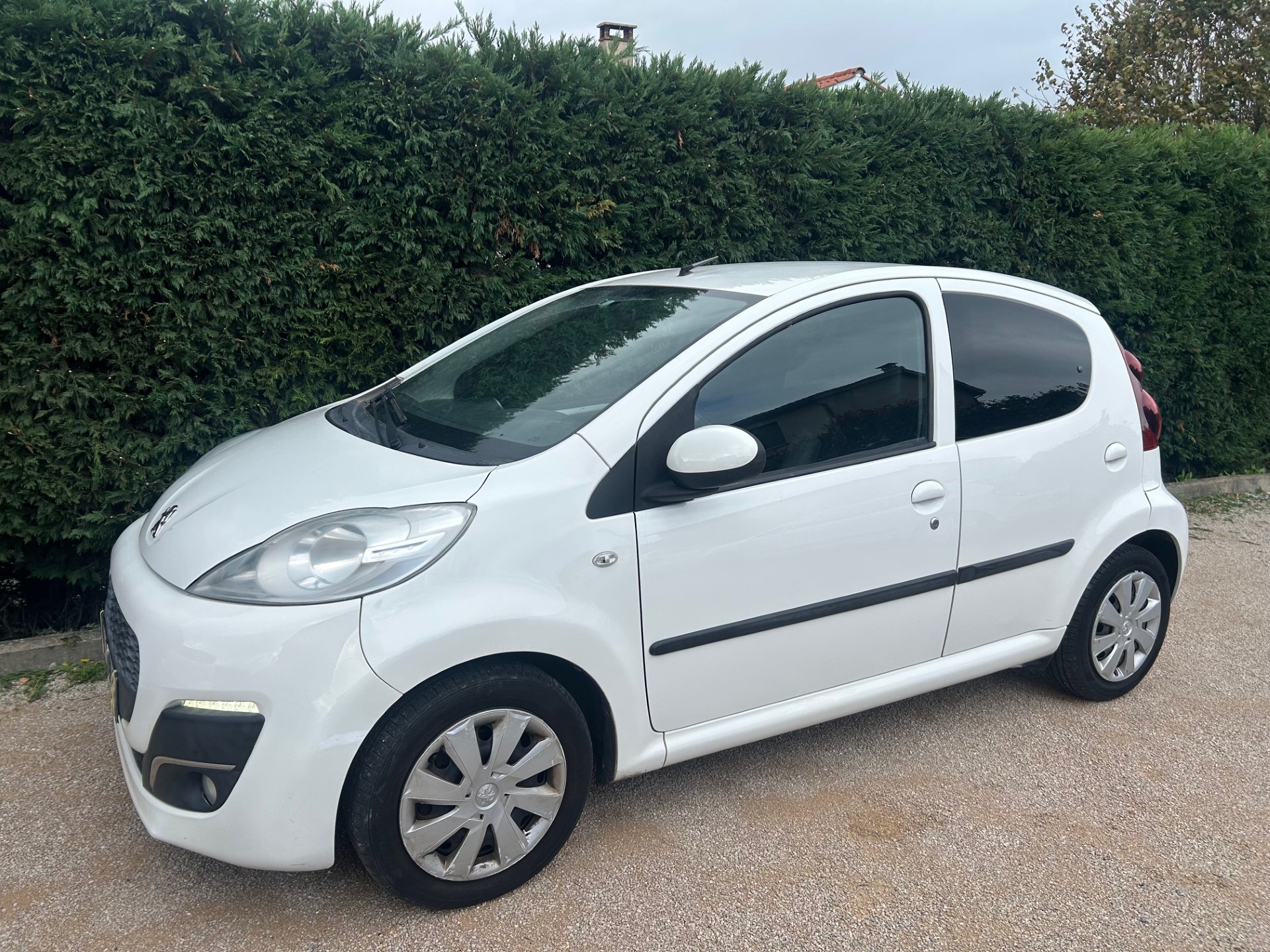 A WEBP gallery image