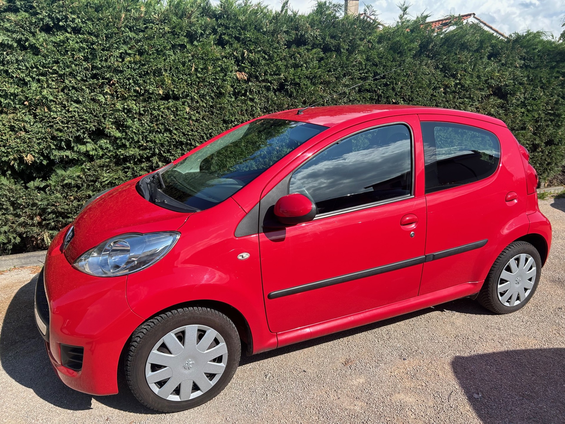 A WEBP gallery image