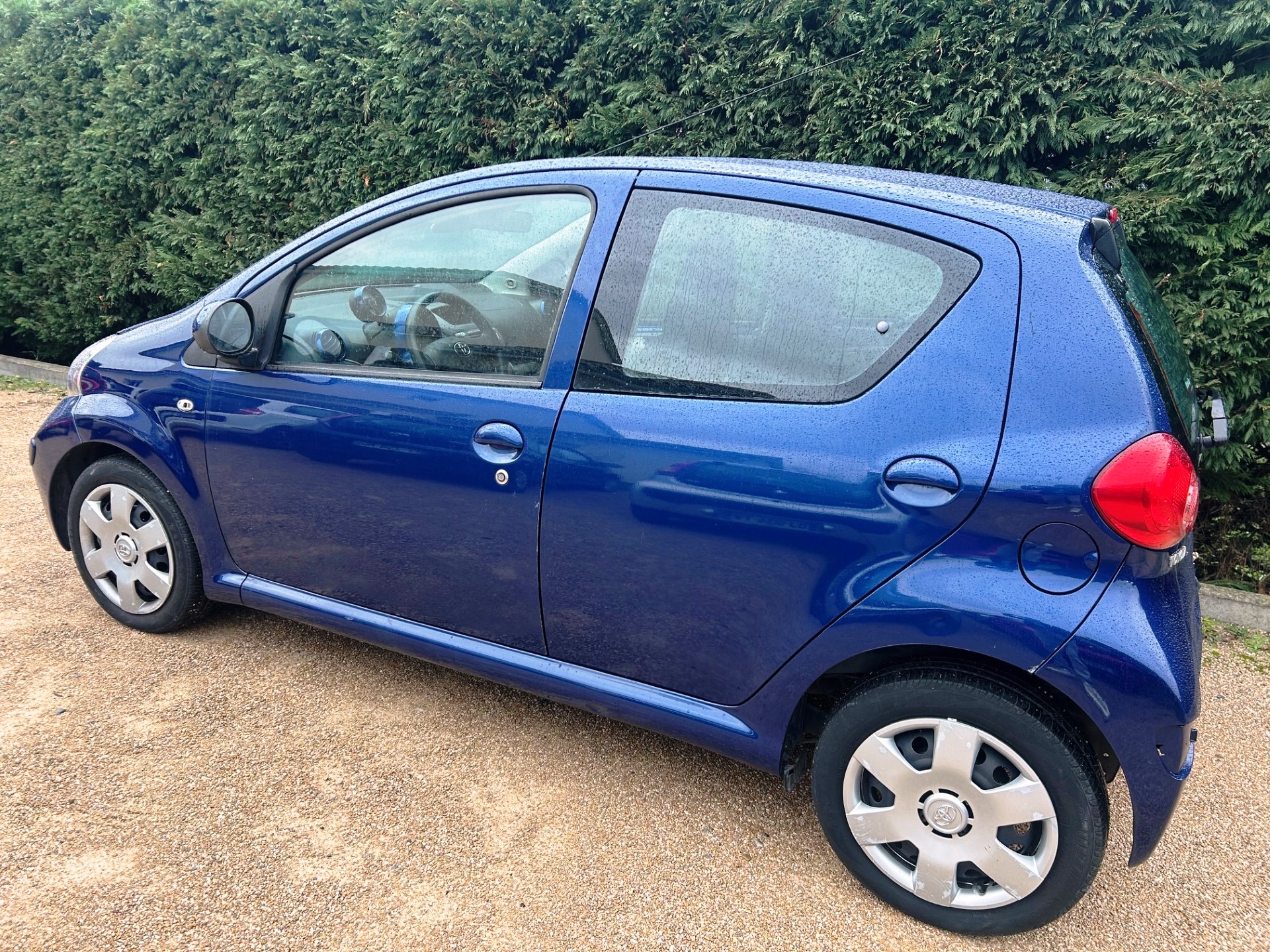 A WEBP gallery image