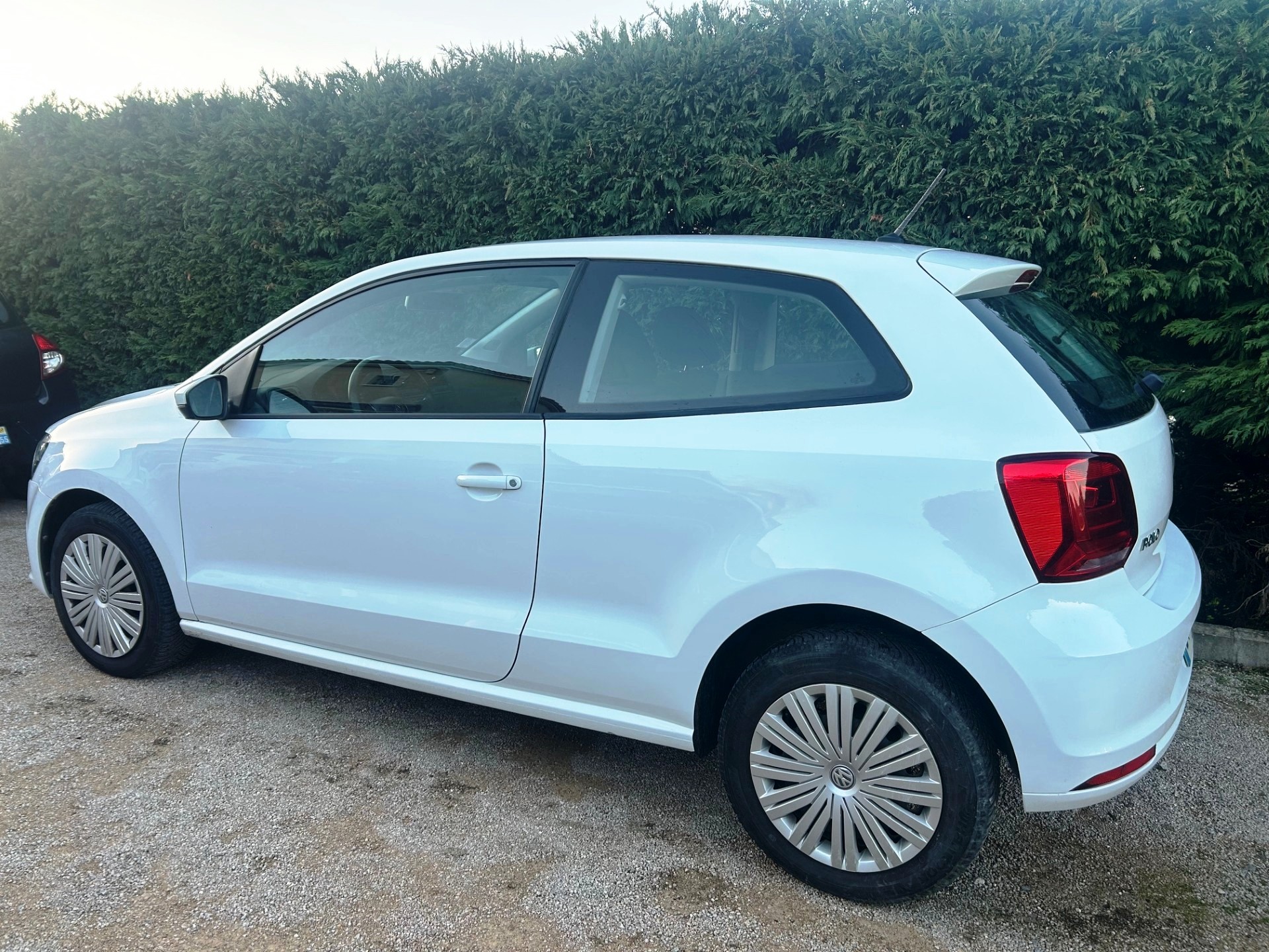 A WEBP gallery image