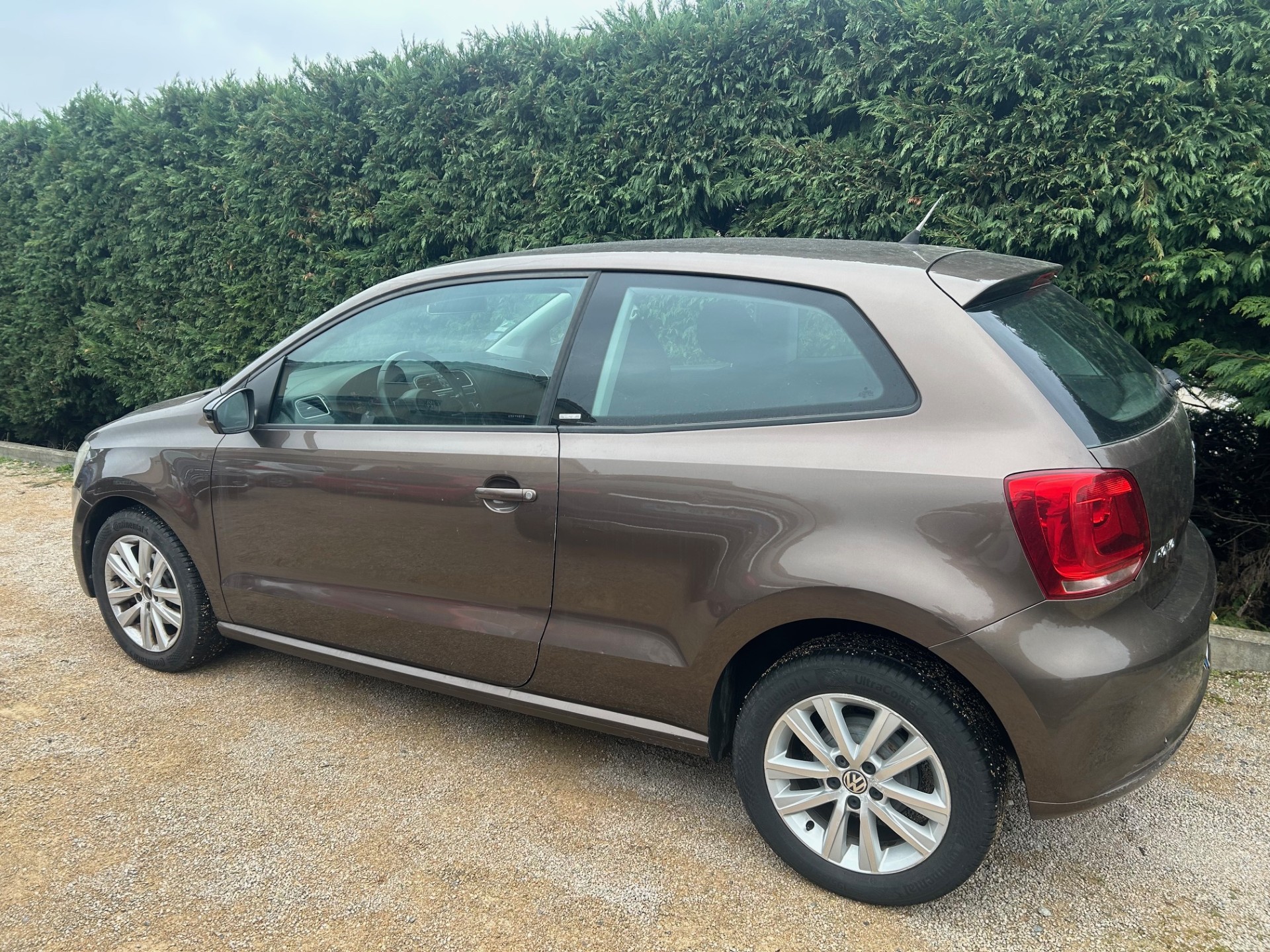 A WEBP gallery image