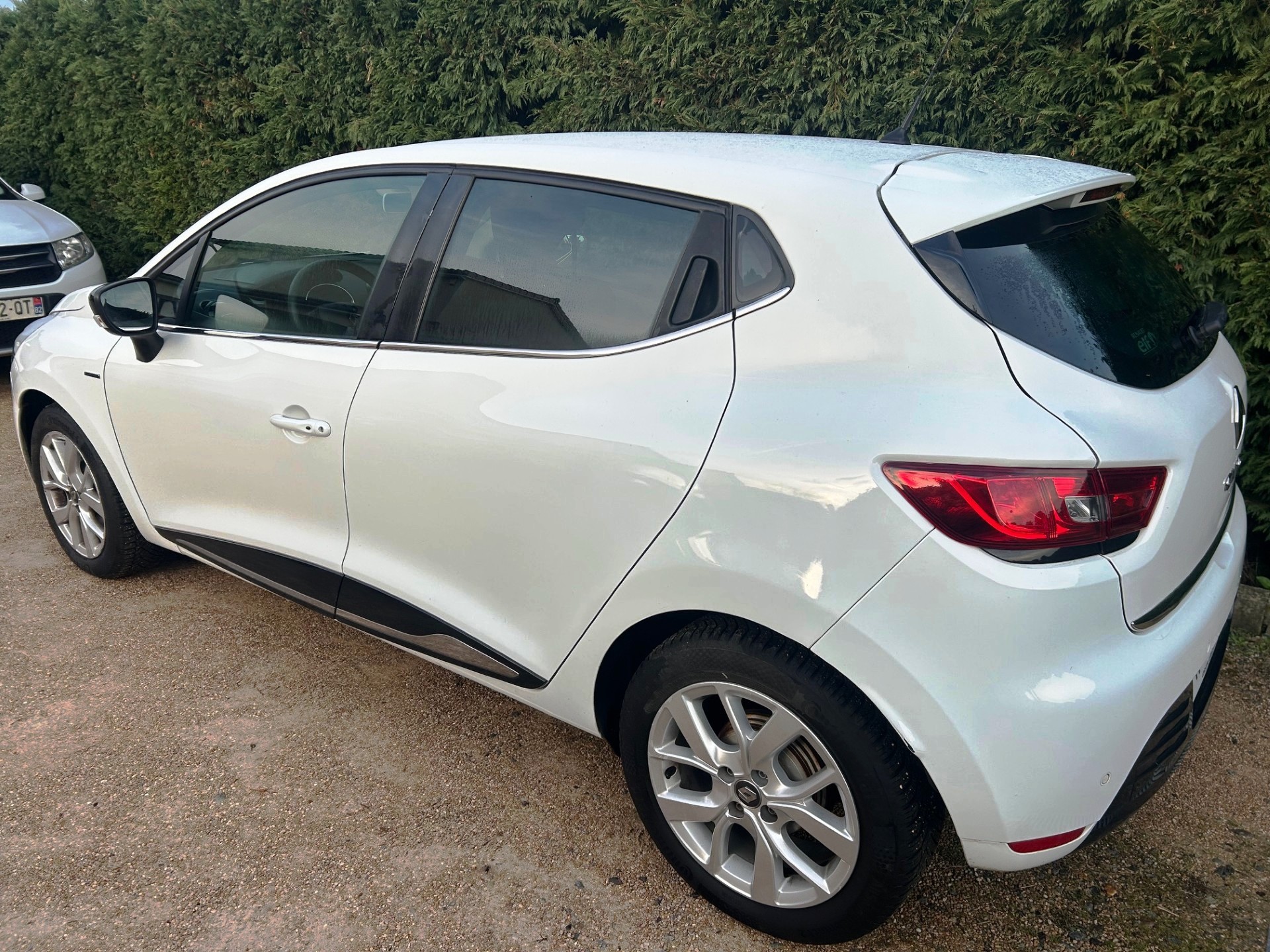 A WEBP gallery image