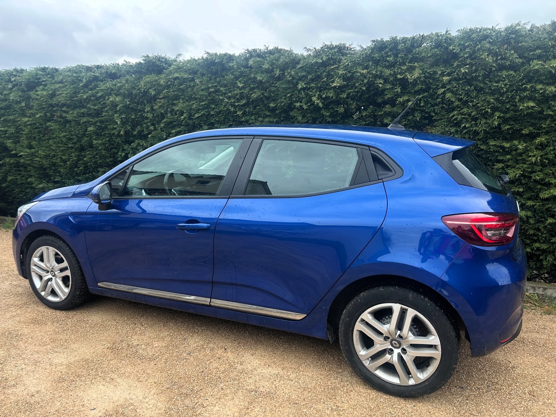 A WEBP gallery image