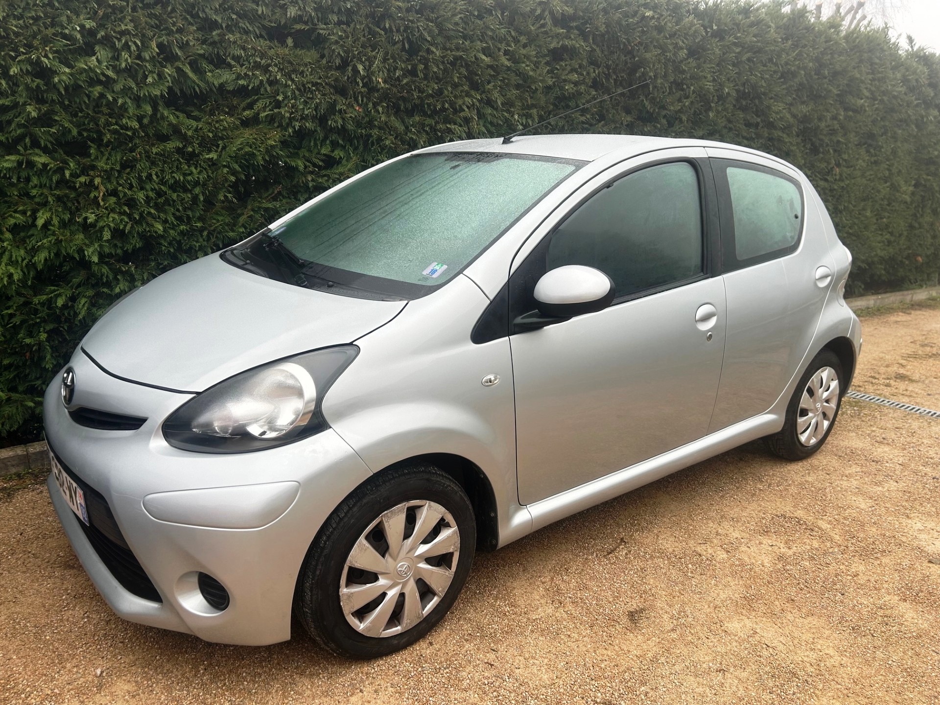 A WEBP gallery image