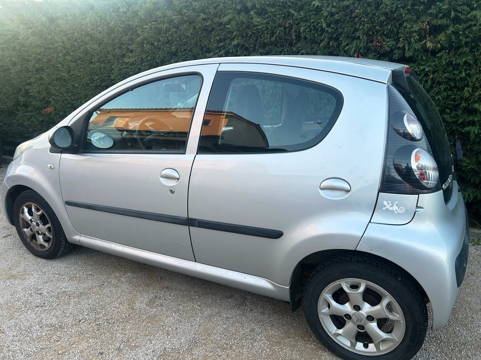 A WEBP gallery image