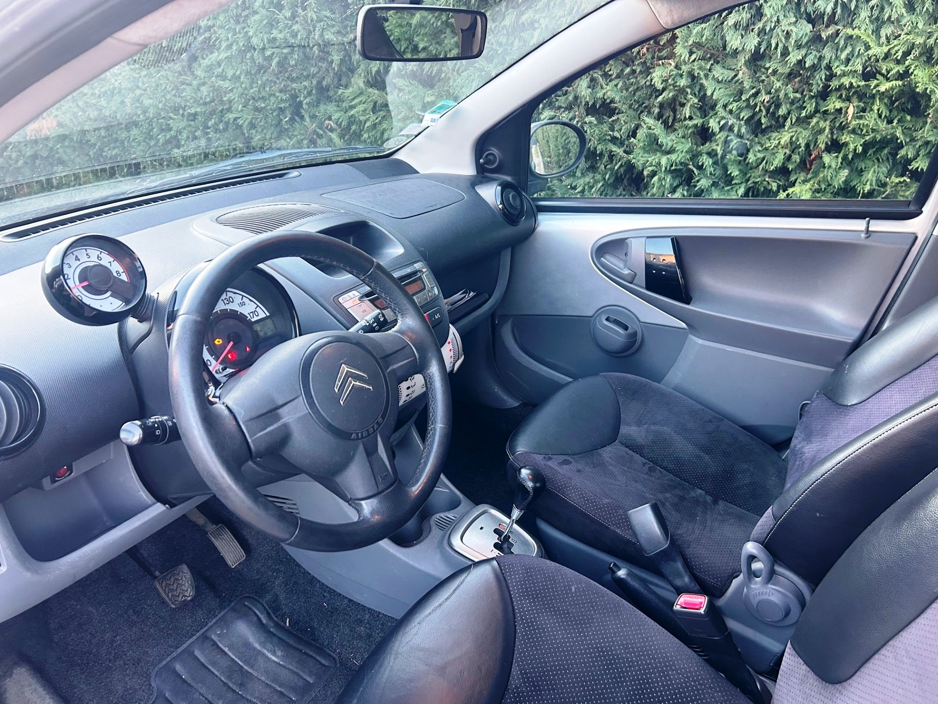 A JPEG gallery image