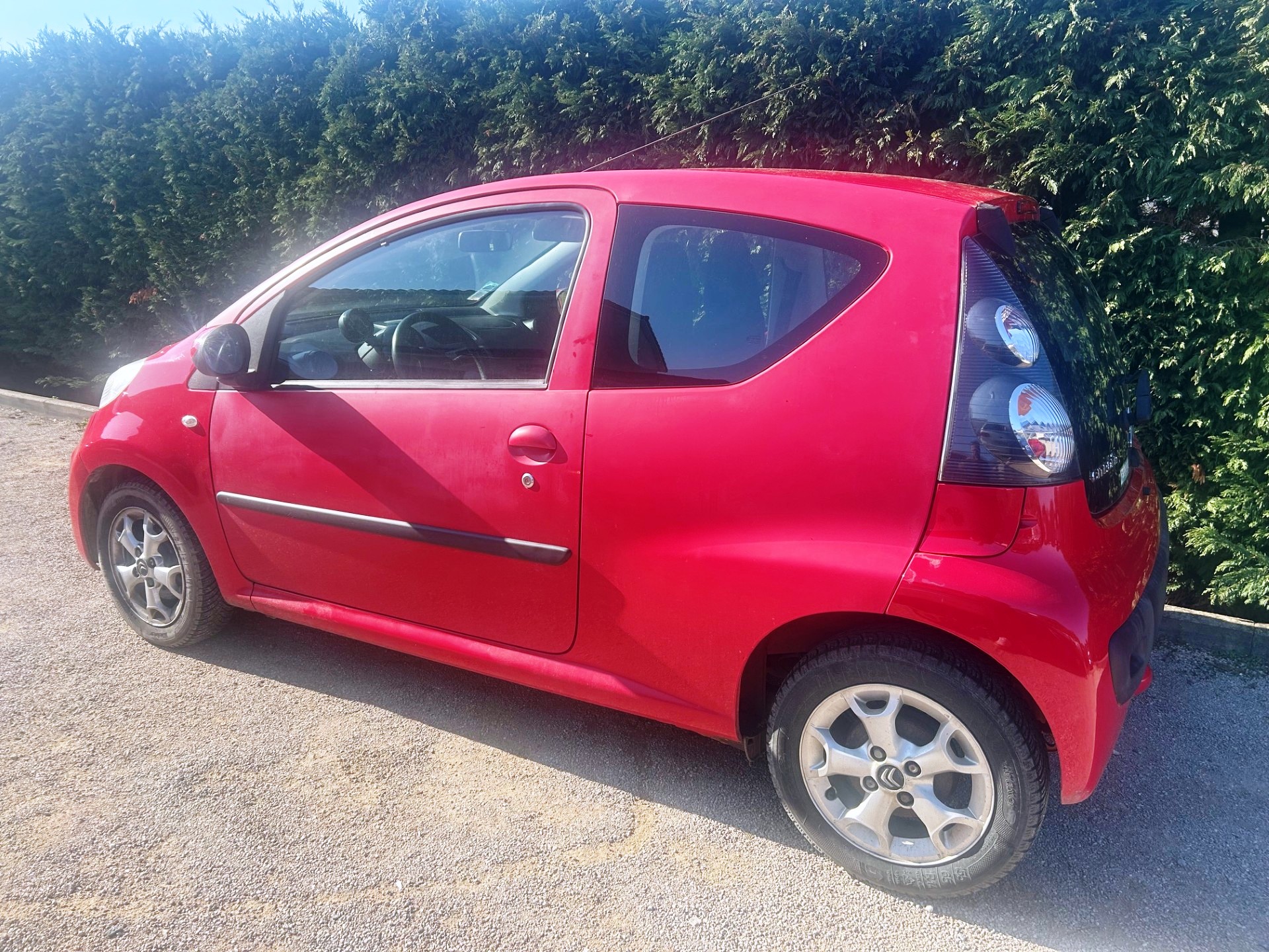 A WEBP gallery image