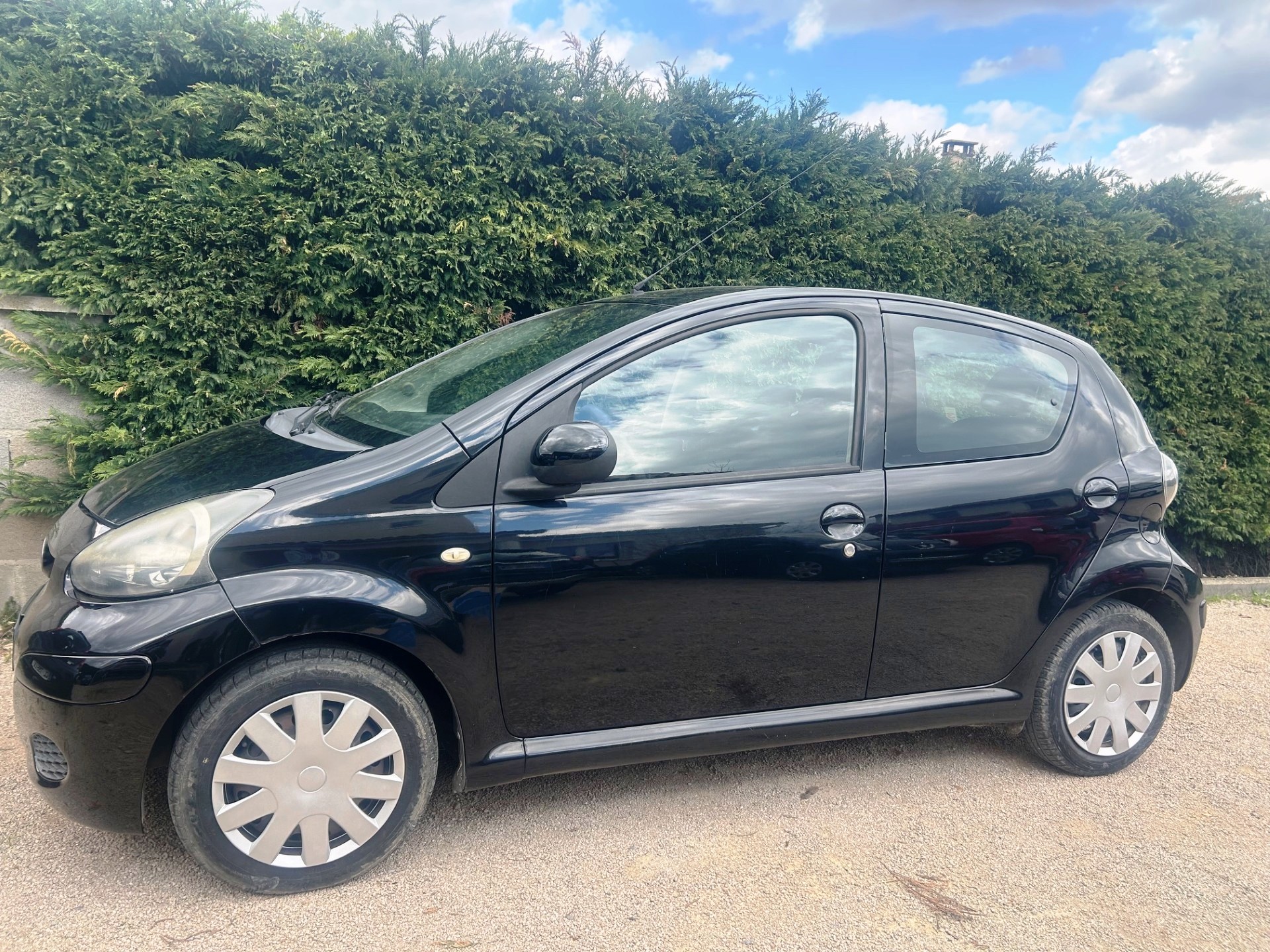 A WEBP gallery image