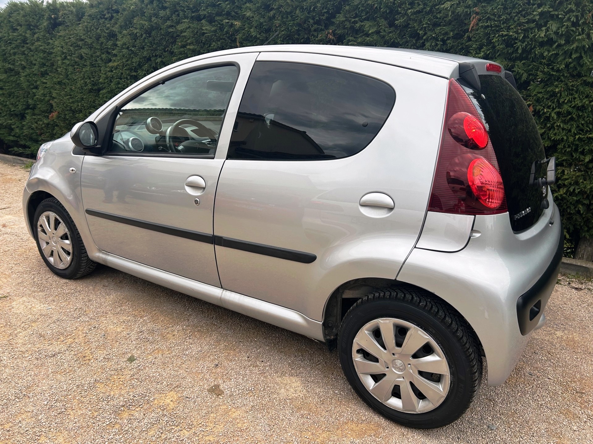 A WEBP gallery image