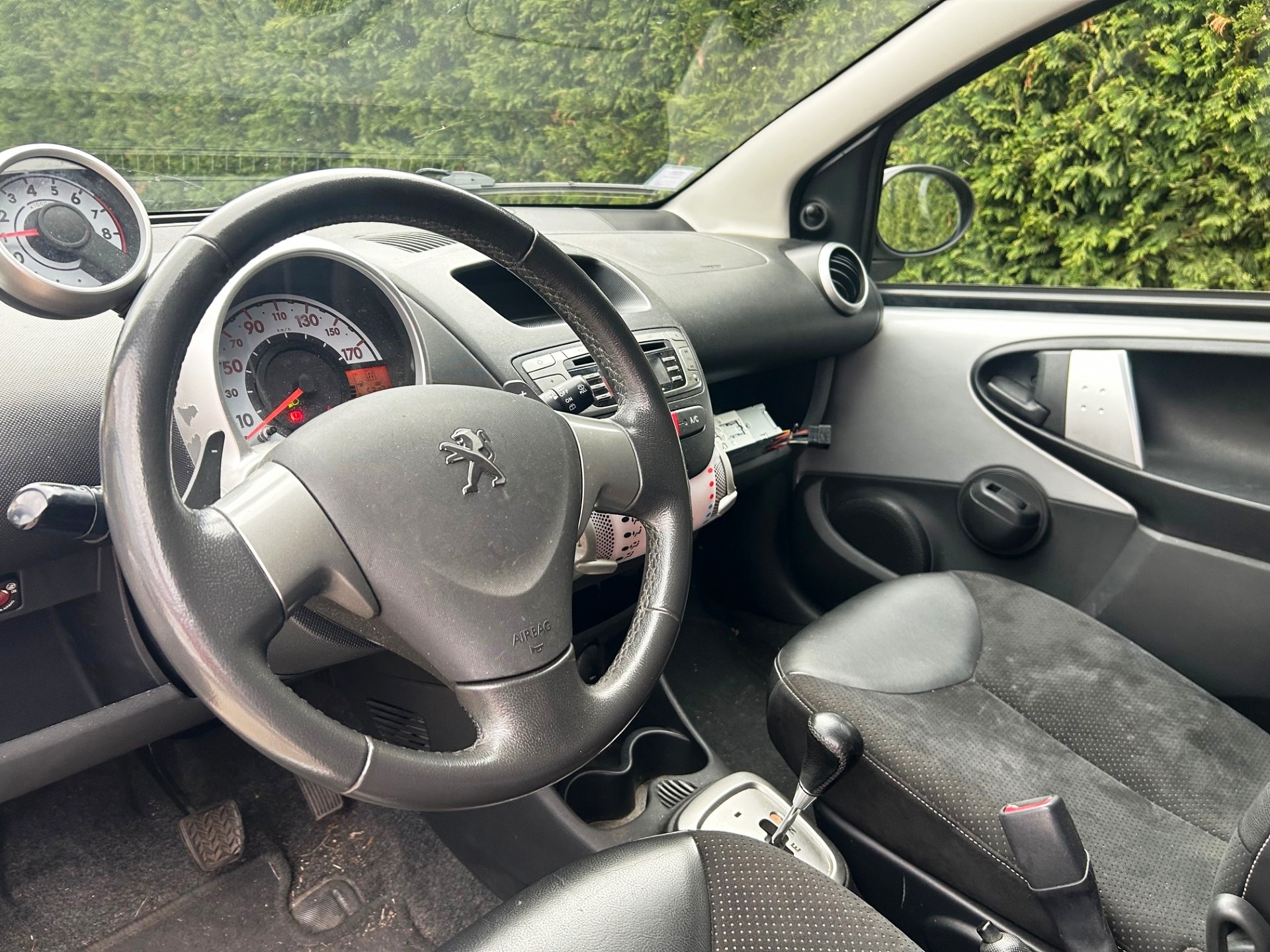 A JPEG gallery image